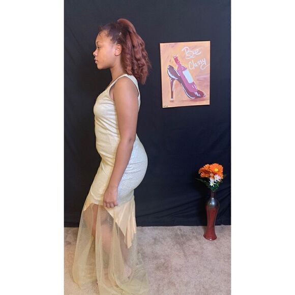 Embellished Sheer Bottom Maxi Dress – Unveil Sophistication - Picture 2 of 2